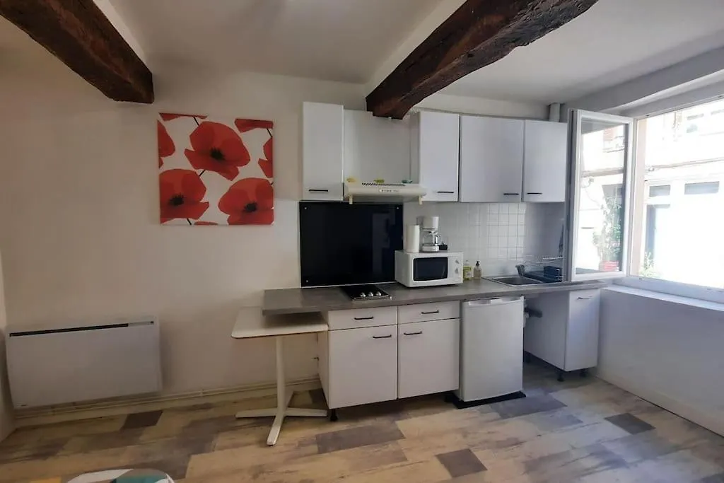 Promo15-30Avr Toulouse 15Mn Studio Rdc Lit 140 Cm Cuisine Sde Montastruc-la-Conseillere
